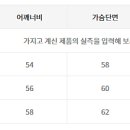 핏더사이즈