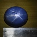 블루스타 이미지