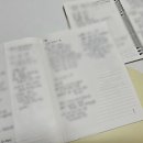 셀프로 알아보는 나의 미래(사주) | 셀프로 사주 보기 #사주공부 도화도르 수강 후기