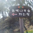 서천 동백나무숲 그리고 희리산자연휴양림 이미지