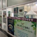 천연헤나 전문샵