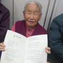 님마을민들레