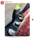 타이안나 | 2026 태국 방콕 여행 -4 3일차 : 실롬타이 쿠킹클래스, 포츠커피, 롱로스, 어밴던드 맨션