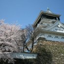 부관훼리(주) 네이버블로그