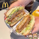 화창엔지니어링 | 맥도날드 최강록 신메뉴 와사비 슈비 버거 솔직 후기