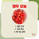 앵두마켓
