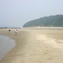 승봉도 캠핑장 이미지