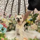 오늘, 더 예쁘게 이미지