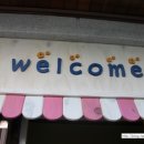 참사랑어린이집 네이버블로그