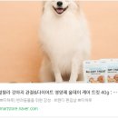 강아지 영양 간식 저칼로리 트릿!! 왈랄라 올데이 케어트릿 이용 후기