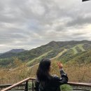 소망분재원 | 서울근교 단풍명소 화담숲 단풍시즌 모노레일 위치 입장료 예약방법 후기