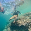 일정 | 세부 가족여행 워크샵 단독 패키지투어 추천 일정 후기