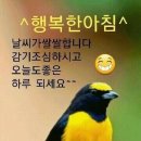 꽃향기가득한 이미지