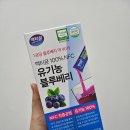 만성축산 | 블루베리 효능 총정리 | 눈건강·혈관건강에 좋은 유기농 블루베리 스틱 후기