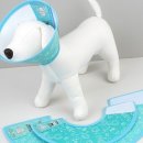 베스애견 이미지