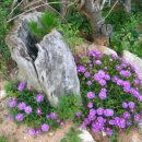 송제농원 이미지