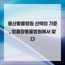 엉클장동물병원 이미지