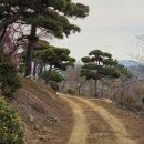 차량골농원 네이버블로그
