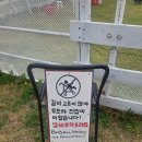 마당목장 | [내돈내산] 따스한 햇살 아래 힐링 가득! 상주 '모동목장' 리얼 방문 후기