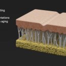 (주)디오메디칼 이미지