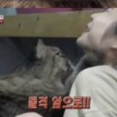 공세농장 이미지