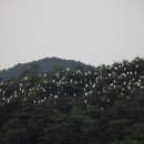 백로마을 이미지