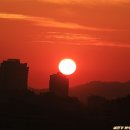 도시의 아침 이미지