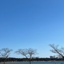 손성목영화박물관 | 강릉 참소리 에디슨 손성목 영화 박물관 관람 후기, 축음기 전시 경포 가볼만한 곳