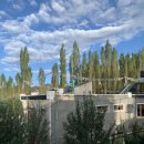 태림수퍼 | [인도여행]판공초/누브라밸리 투어 시작, 훈더르 도착, 마리울게스트하우스 후기