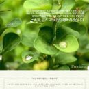 임산부샴푸추천, 순해서 안심! 비듬개선에도 좋아요 w맘스프레비앙샴푸+미스트