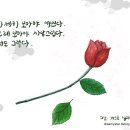 자세히 보아야 예쁘다 이미지