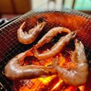 안면도 비쥬펜션 : 애견동반 개별바베큐 힐링펜션 솔직후기