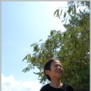 [스크랩] 2009.8.25 ~ 8.30 남도, 그 설레임 속으로...2 - 해남,완도,강진,화순,광주,담양