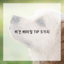 건강하고 맛있는 베이킹 이미지