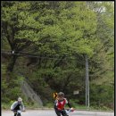 칠전팔기 이미지