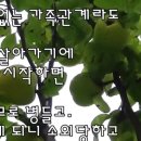미성문화원