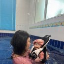동도모텔 | 가평 아기랑 펜션 추천, 25개월 3개월 키즈 풀빌라 숙소 여행 준비물 꿀팁