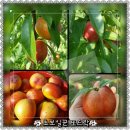 황준목장 이미지