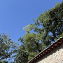 설:내개 오냥 | 내가 그걸 모를까