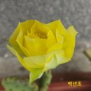 진도정유재란순절묘역 | 전남 진도(珍島), 조도(鳥島), 관매도(觀梅島) 여행 2025.6.27(금)-6.30(월)