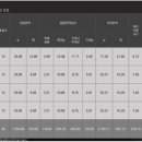 국제투자개발