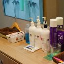 수아로마샵 이미지