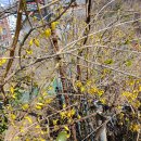 오류동 삼성아파트도서관 이미지