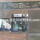 중앙동물메디컬센터 이미지