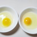 양촌농원 1농장 네이버블로그