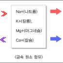 산성식품 이미지
