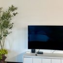 거제 머물다 풀빌라 펜션 이미지