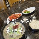 씨유 수지초입마을점 | 용인 수지 순대국 맛집 24시 영업하는 한국순대국