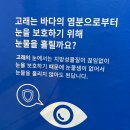 이해공간 | 울산 장생포 고래박물관 후기 | 고래의 기억을 품은 공간