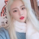디자인지인주 이미지